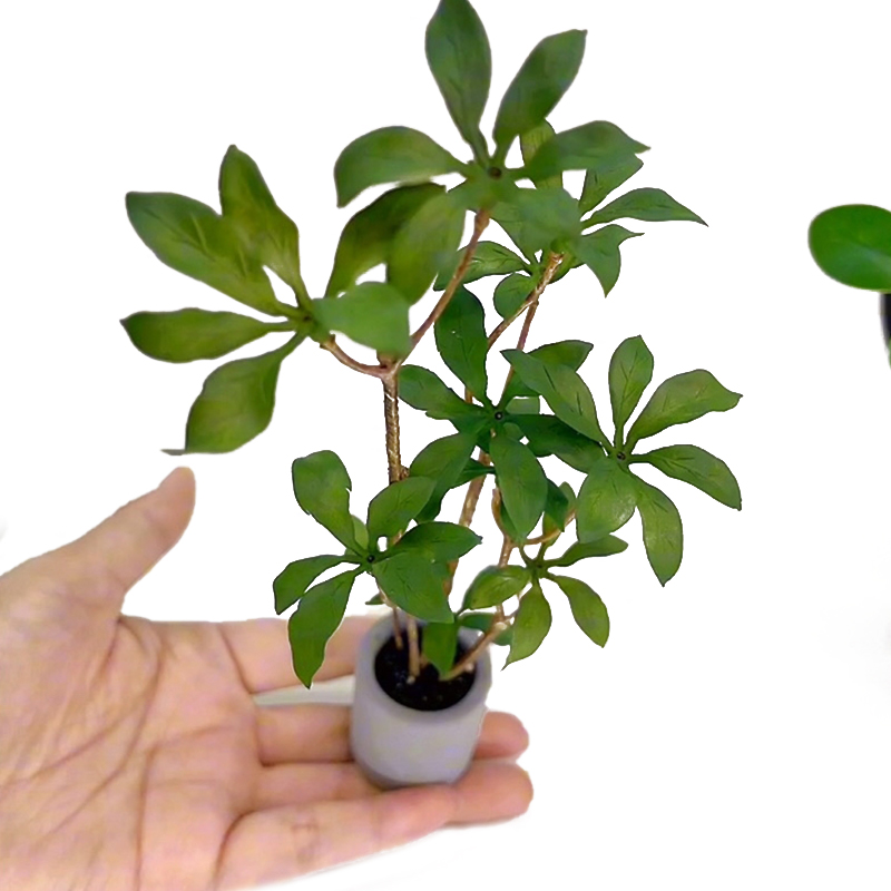 Bonsai Garden Kit - 1:6 Dollhouse Miniature Potted Plants Model