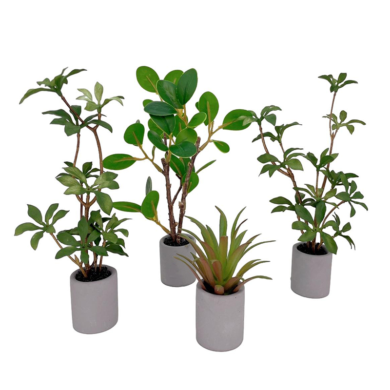 Bonsai Garden Kit - 1:6 Dollhouse Miniature Potted Plant Green