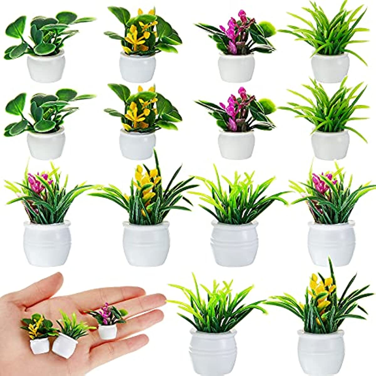 Bonsai Garden Kit - Dollhouse Plant, Miniature Bonsai Plant, Mini