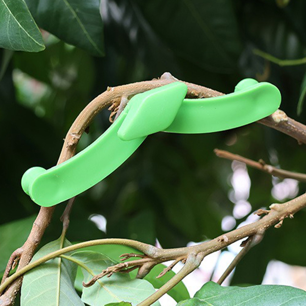 5Pcs Bonsai Branch Stabilizer  - Bonsai Garden Tools review and price