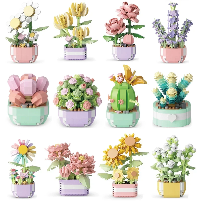 Flower Succulents Building Blo - Bonsai Garden Kit review and price