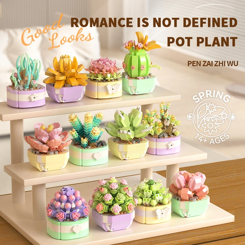 Flower Succulents Building Blo - Bonsai Garden Kit review and price