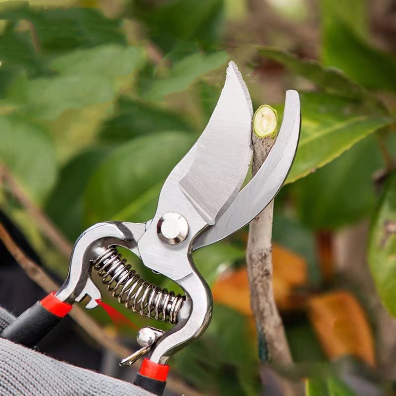 Pruner Garden Scissors Graftin - Bonsai Garden Knife review and price