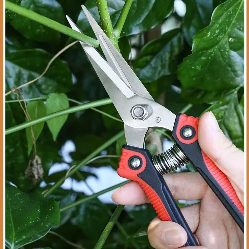 NEWSHARK Stainless Steel Pruni - Bonsai Garden Knife review and price