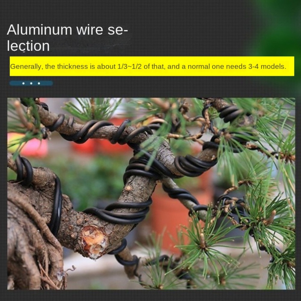 Aluminum Bonsai Wire Garden Bo - Bonsai Garden Tools review and price