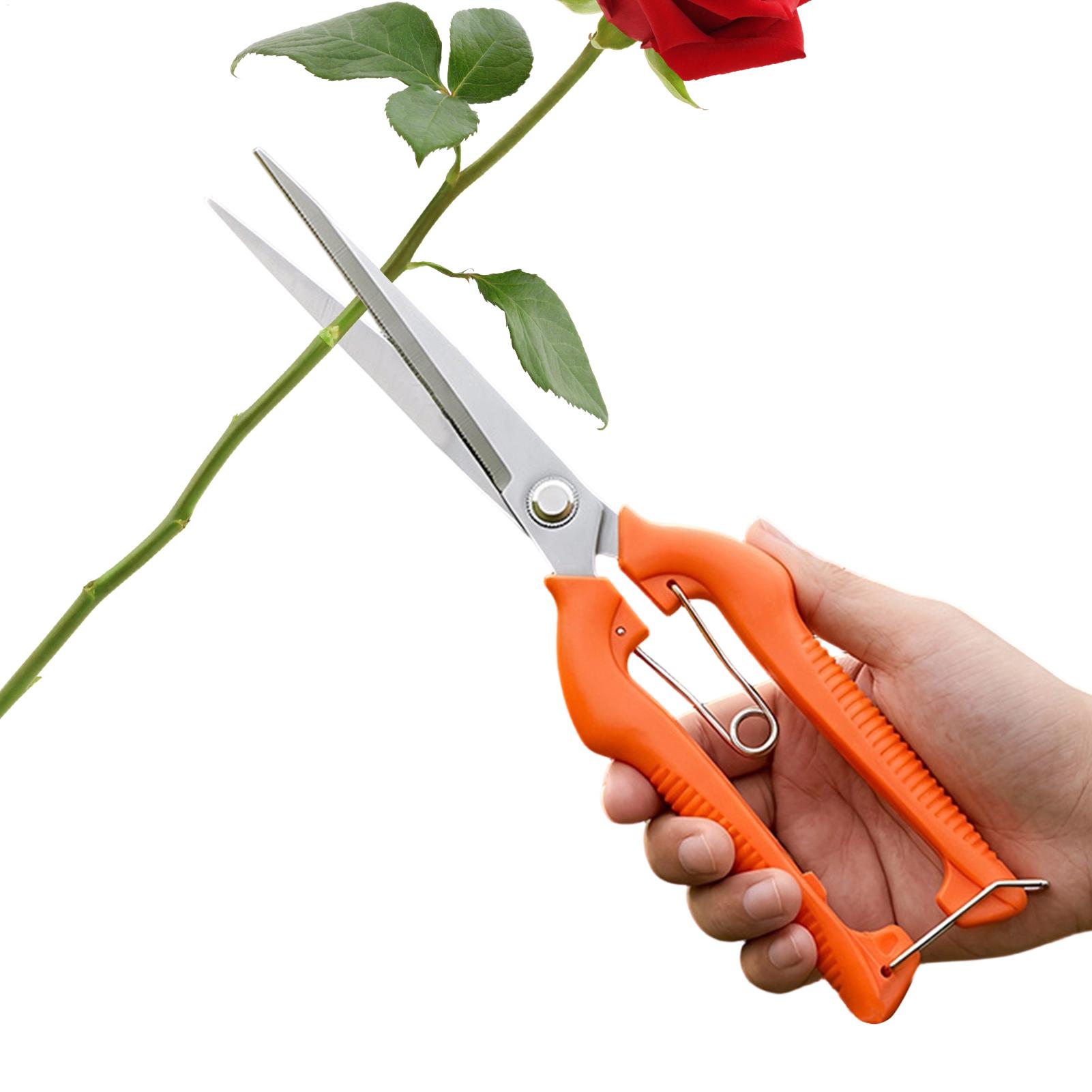 Pruning Shears Grape Scissors  - Bonsai Garden Knife review and price