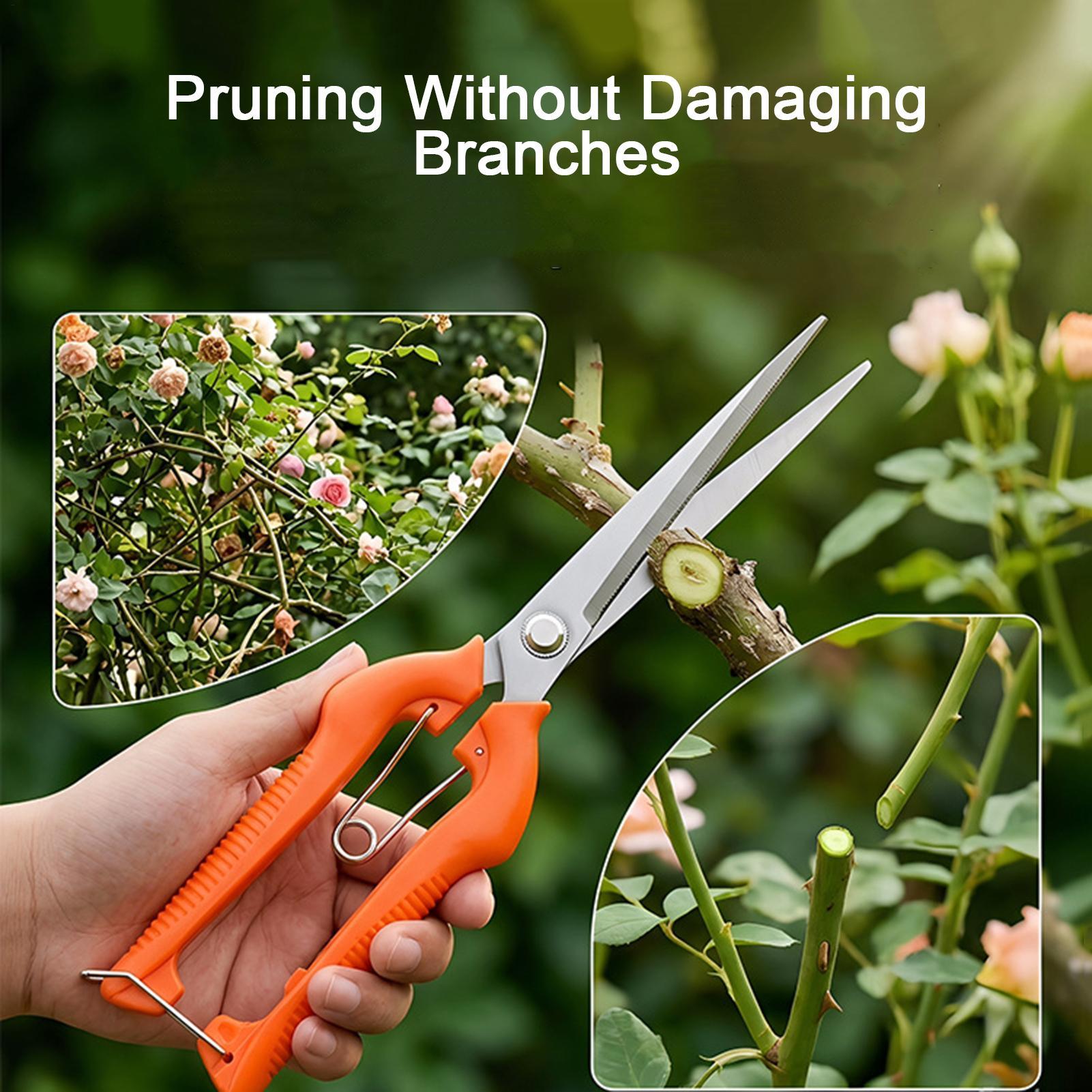 Pruning Shears Grape Scissors  - Bonsai Garden Knife review and price