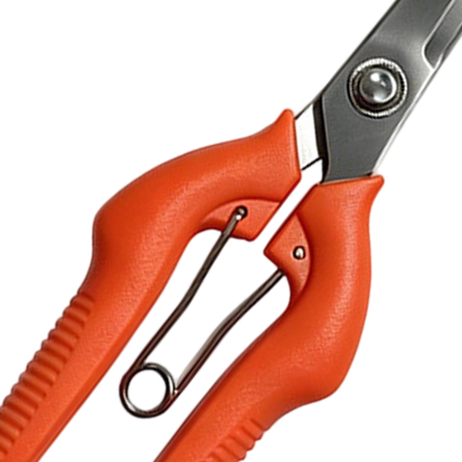 Pruning Shears Grape Scissors  - Bonsai Garden Knife review and price