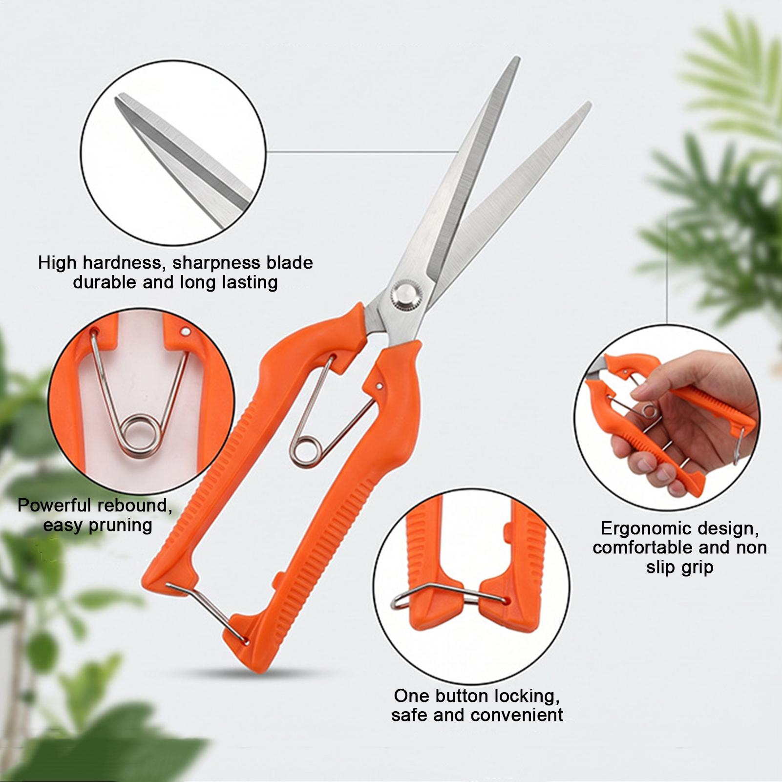 Pruning Shears Grape Scissors  - Bonsai Garden Knife review and price