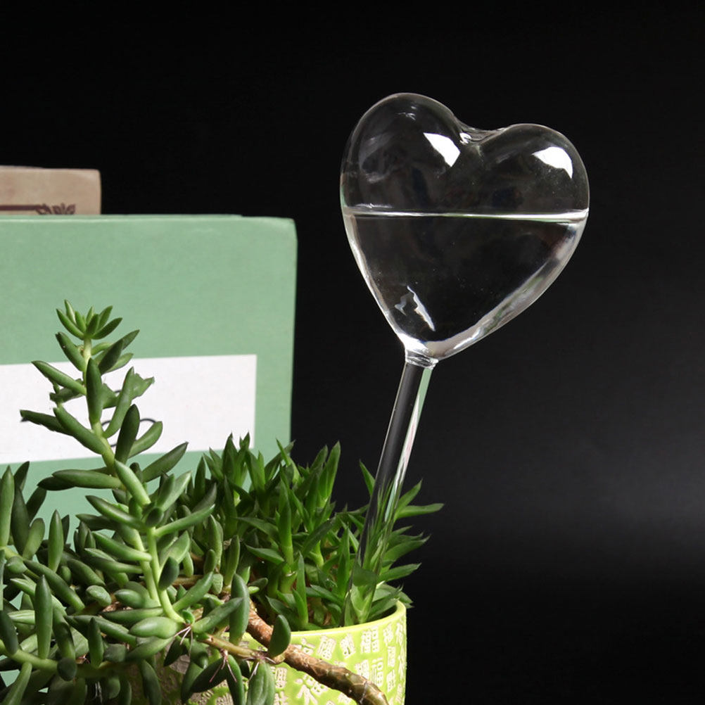 3Pcs Heart Shaped Glass Self W - Bonsai Garden Kit review and price