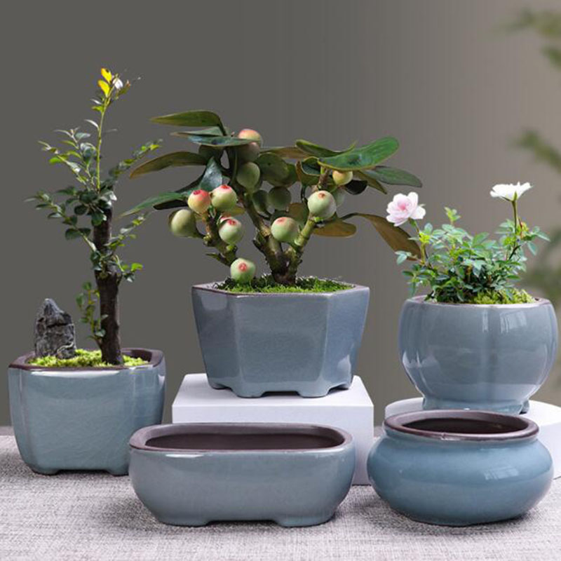 Retro Ceramic Flower Pot Aspar - Bonsai Garden Kit review and price