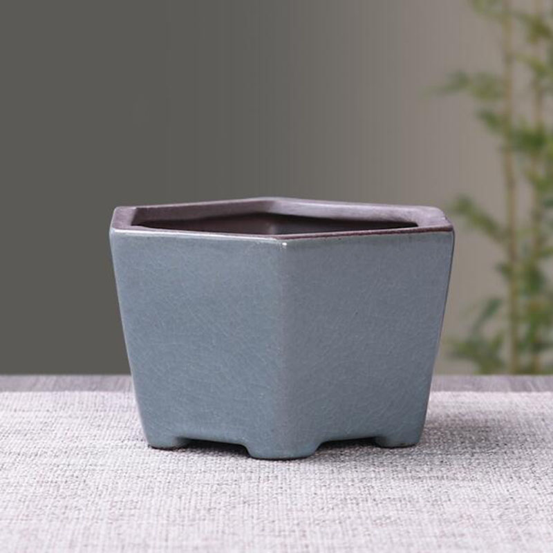 Retro Ceramic Flower Pot Aspar - Bonsai Garden Kit review and price
