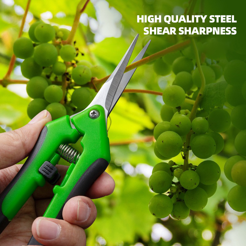 AIRAJ 7Inch Scissors for Pruni - Bonsai Garden Knife review and price