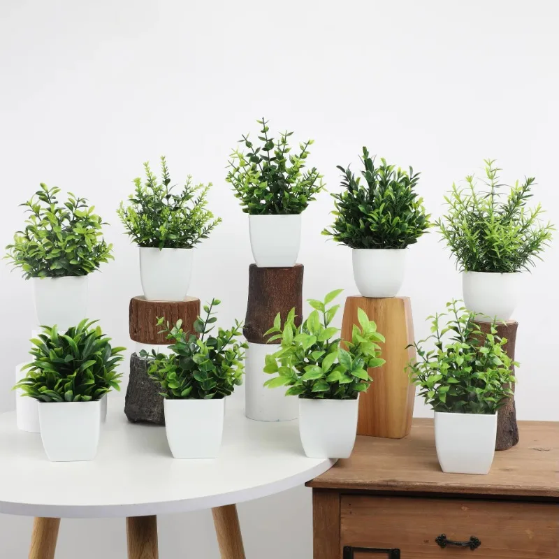 Wholesale OEM/ODM Artificial M - Bonsai Garden Kit review and price