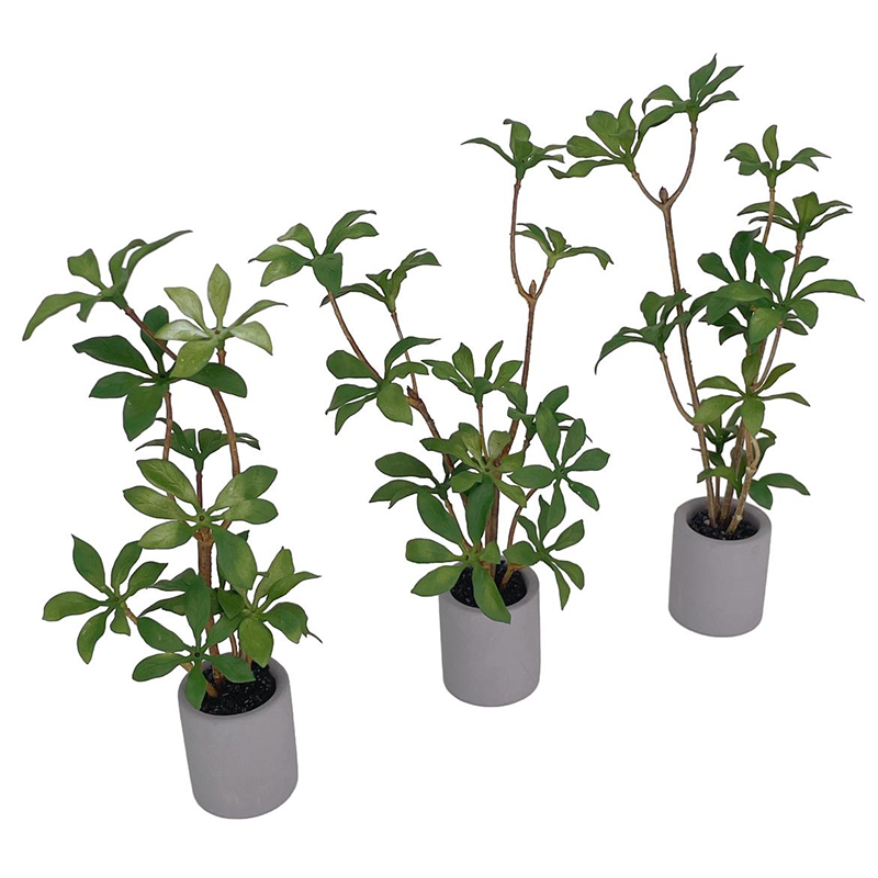 1:6 Dollhouse Miniature Potted - Bonsai Garden Kit review and price