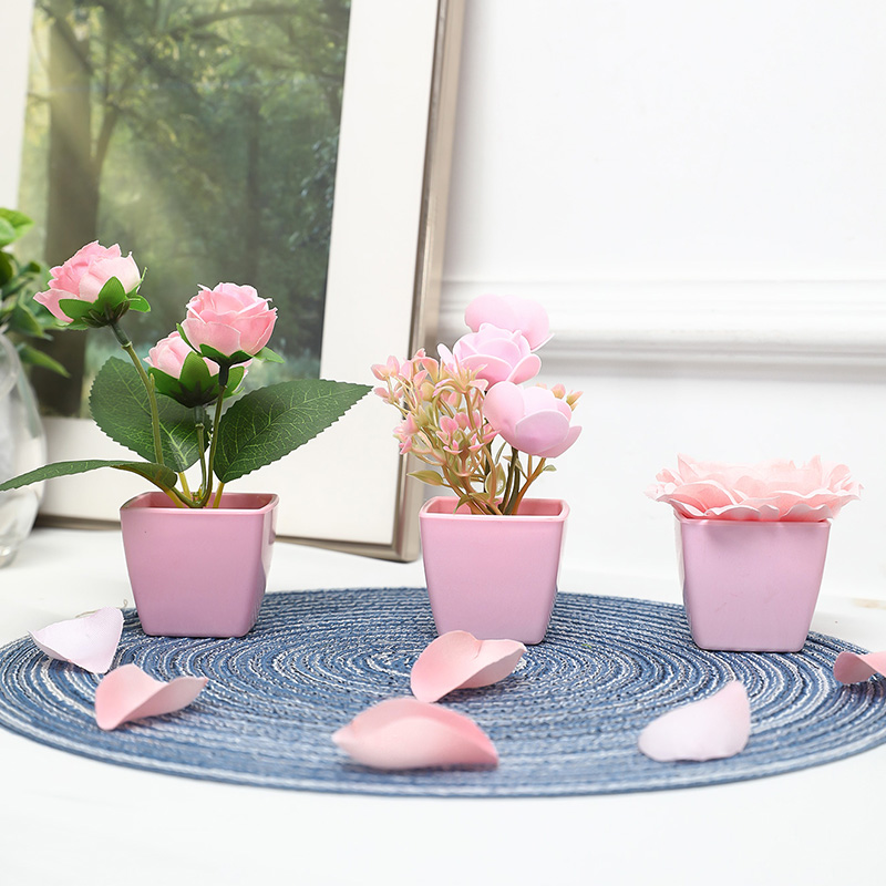 (A set of 3PCS) Simulated Mini - Bonsai Garden Kit review and price