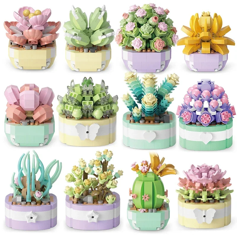 Flower Succulents Building Blo - Bonsai Garden Kit review and price