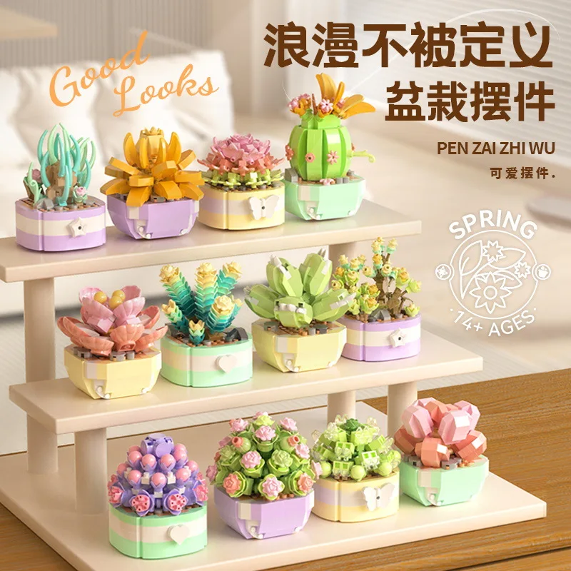 Flower Succulents Building Blo - Bonsai Garden Kit review and price