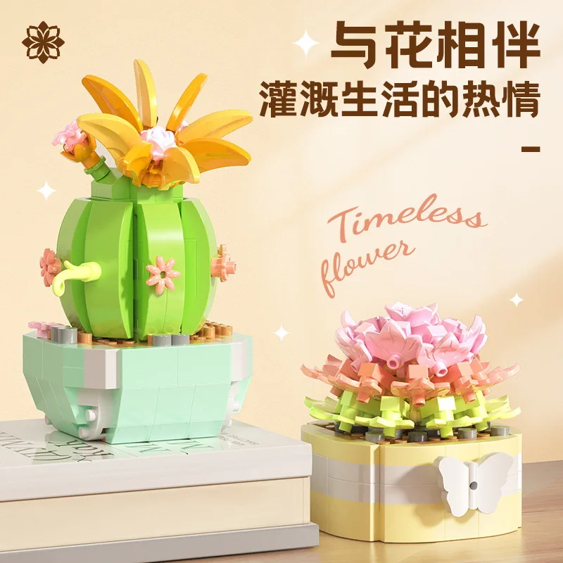 Flower Succulents Building Blo - Bonsai Garden Kit review and price
