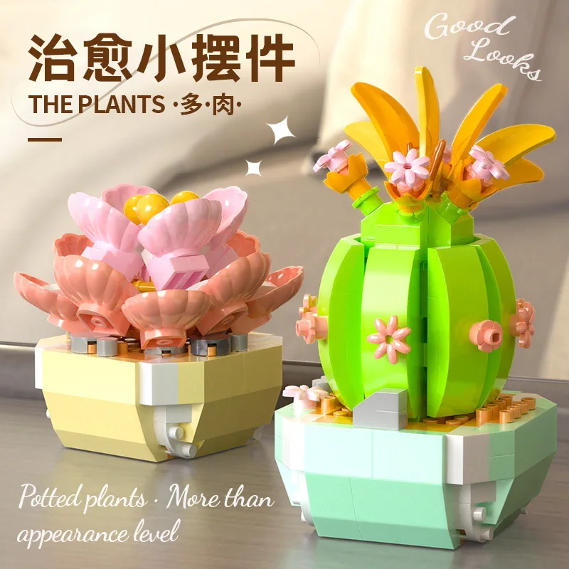 Flower Succulents Building Blo - Bonsai Garden Kit review and price