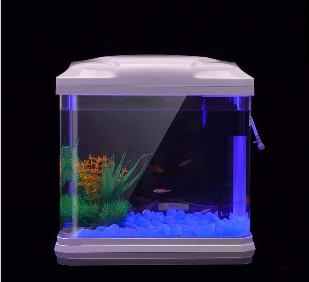 Fish Tank Rocks Glow Blue Pebb - Bonsai Garden Kit review and price
