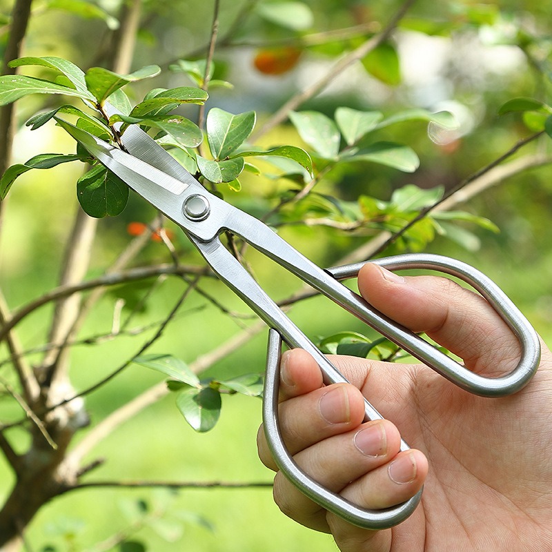 Tender Leaf Scissors Bonsai To - Bonsai Garden Knife review and price