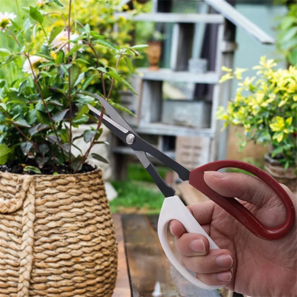 Bonsai Tool Long Handle Scisso - Bonsai Garden Knife review and price