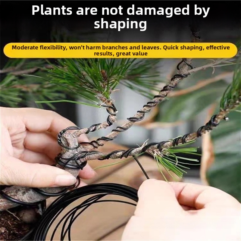 1.5MM Bonsai Wires Aluminum Bo - Bonsai Garden Tools review and price