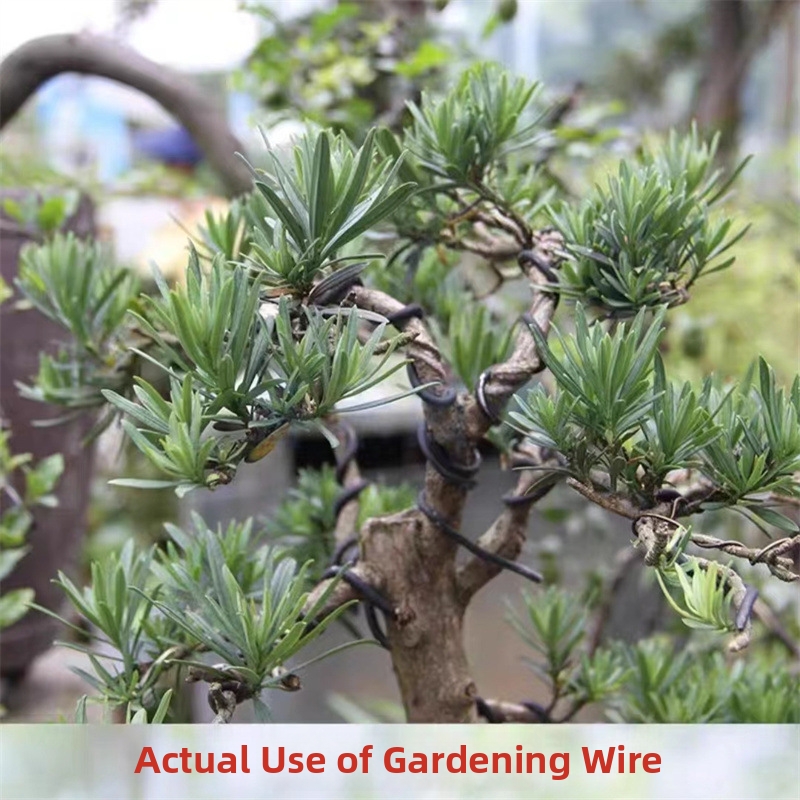 1.5MM Bonsai Wires Aluminum Bo - Bonsai Garden Tools review and price