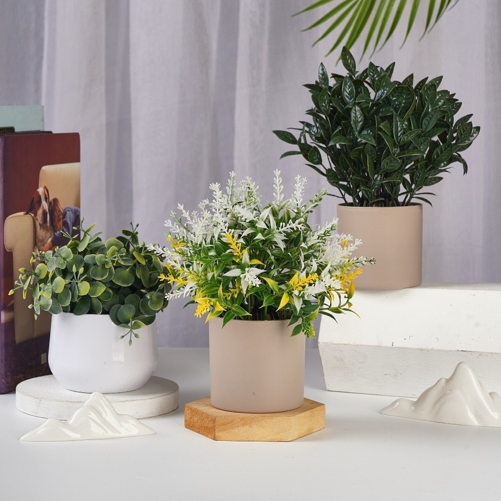 Simulation Plastic Plant Artif - Bonsai Garden Kit review and price