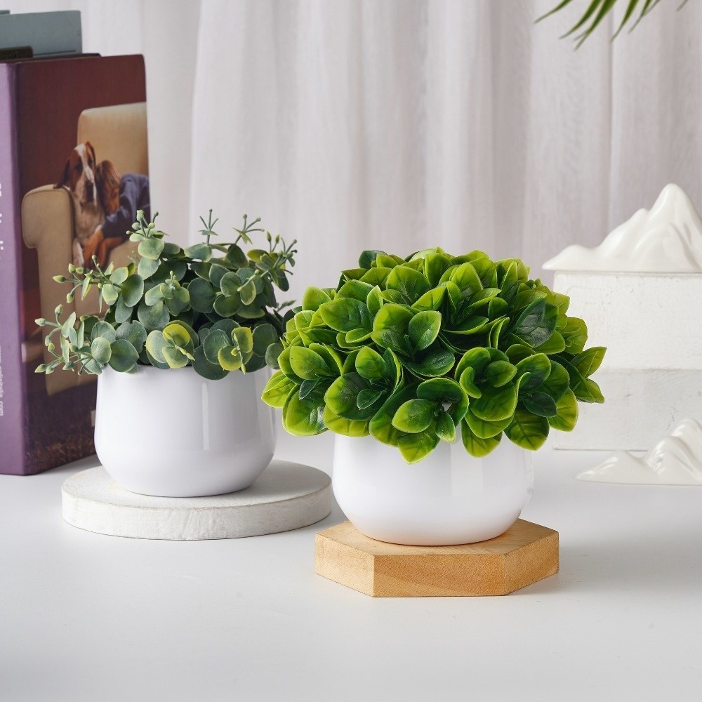 Simulation Plastic Plant Artif - Bonsai Garden Kit review and price