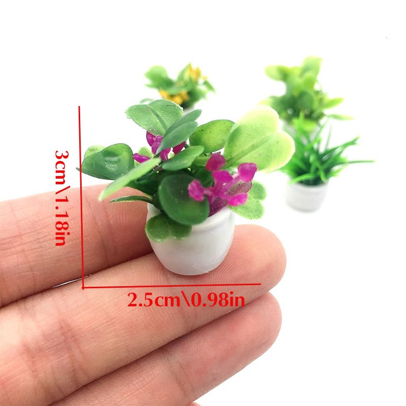 Dollhouse Plant, Miniature Bon - Bonsai Garden Kit review and price