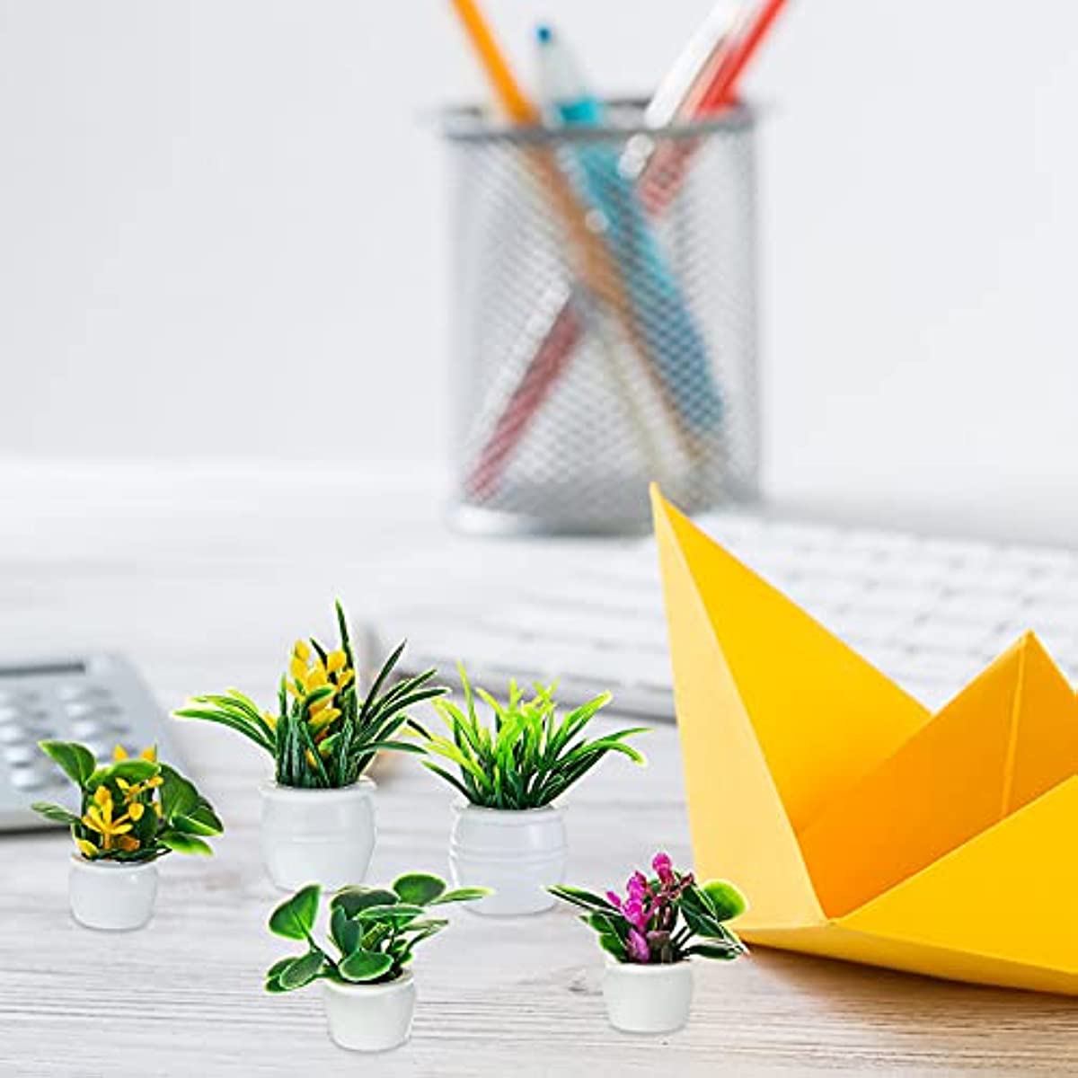 Dollhouse Plant, Miniature Bon - Bonsai Garden Kit review and price