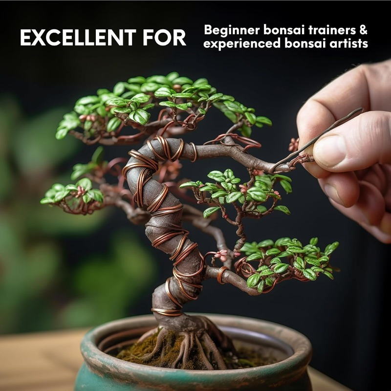 5M Bonsai Training Wire Set fo - Bonsai Garden Tools review and price