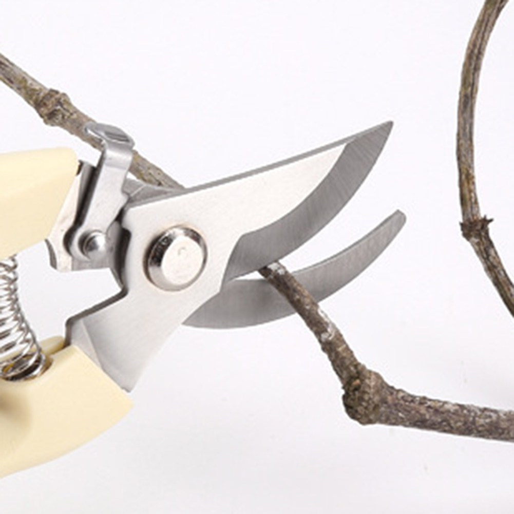 Pruner Shears Hand Tools Bonsa - Bonsai Garden Knife review and price