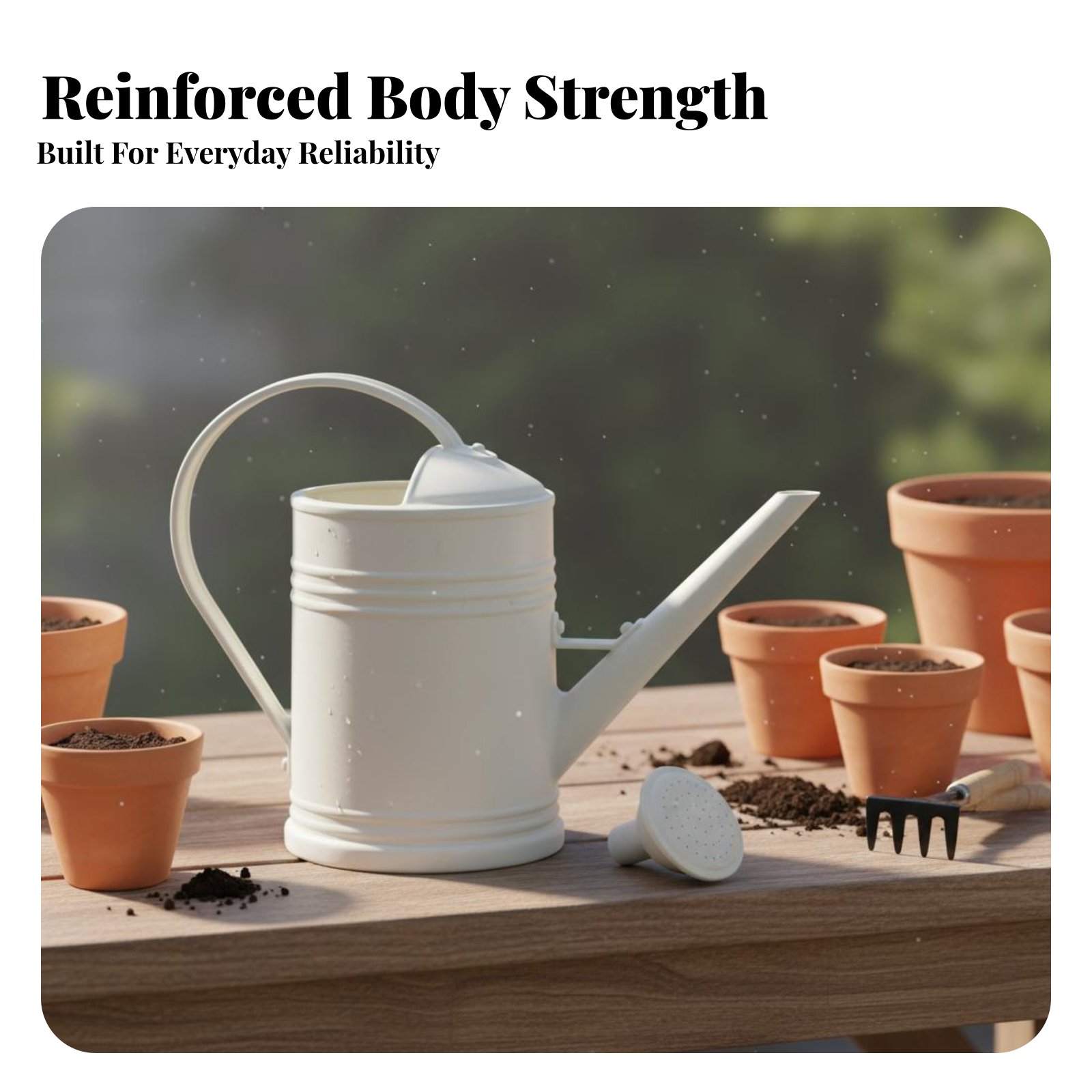 Watering Can with Long Spout P - Bonsai Garden Tools review and price
