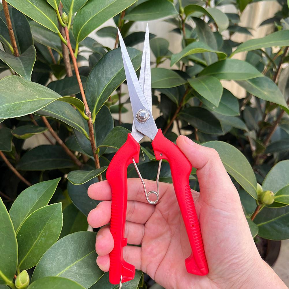 Pro Garden Pruning Shears Leng - Bonsai Garden Tools review and price
