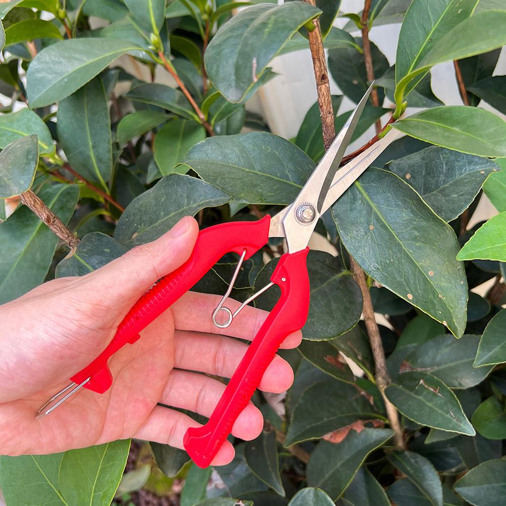 Pro Garden Pruning Shears Leng - Bonsai Garden Tools review and price