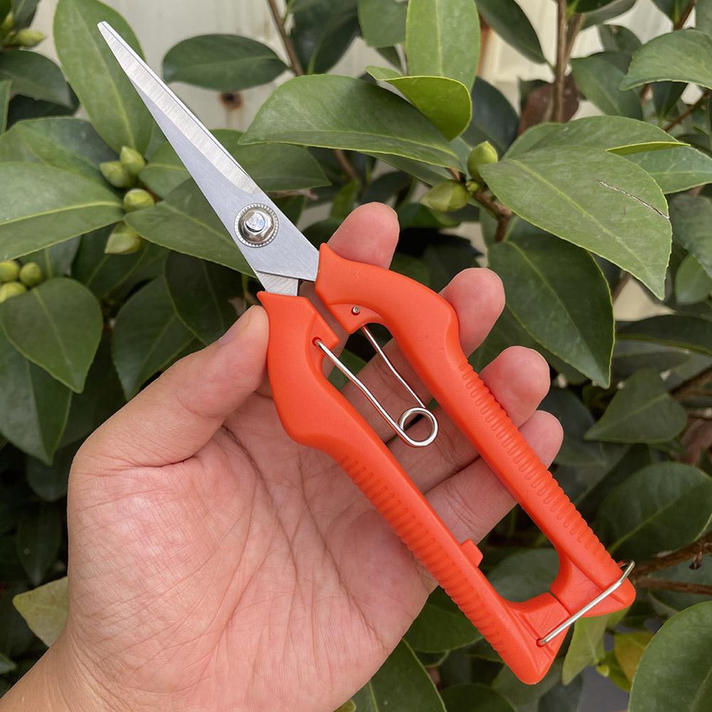 Pro Garden Pruning Shears Leng - Bonsai Garden Tools review and price