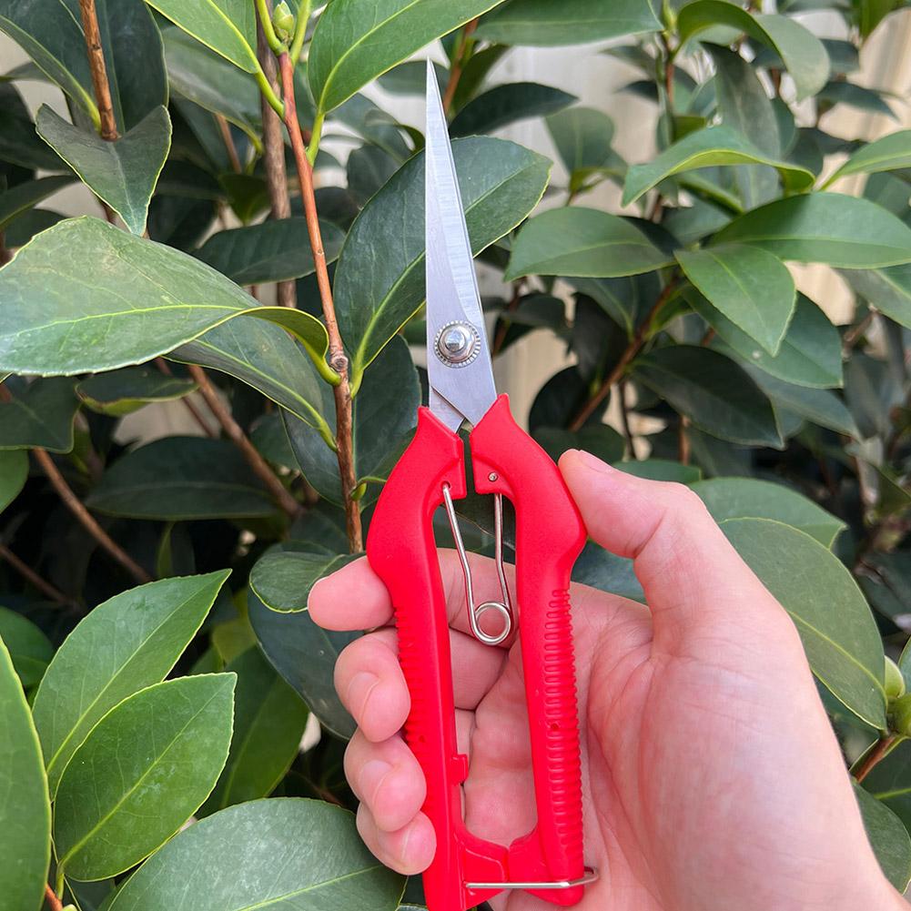 Pro Garden Pruning Shears Leng - Bonsai Garden Tools review and price