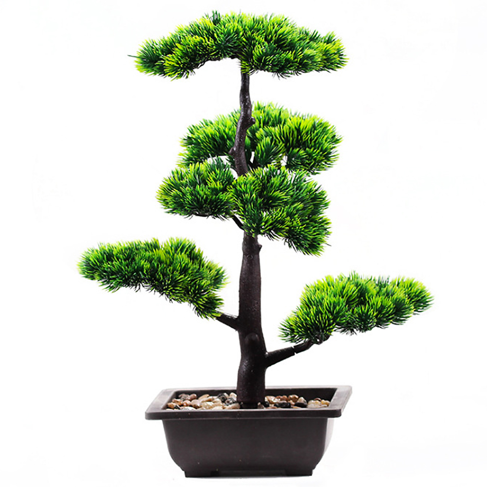 Artificial Plants Beauty Pine  - Bonsai Garden Kit review and price