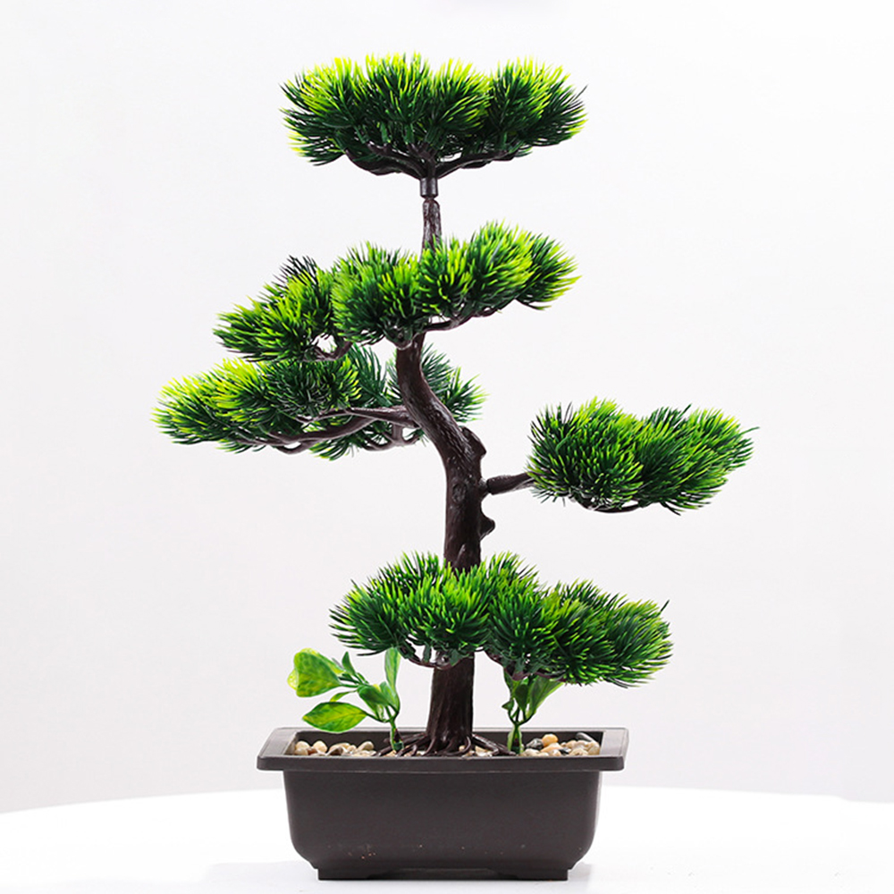 Artificial Plants Beauty Pine  - Bonsai Garden Kit review and price