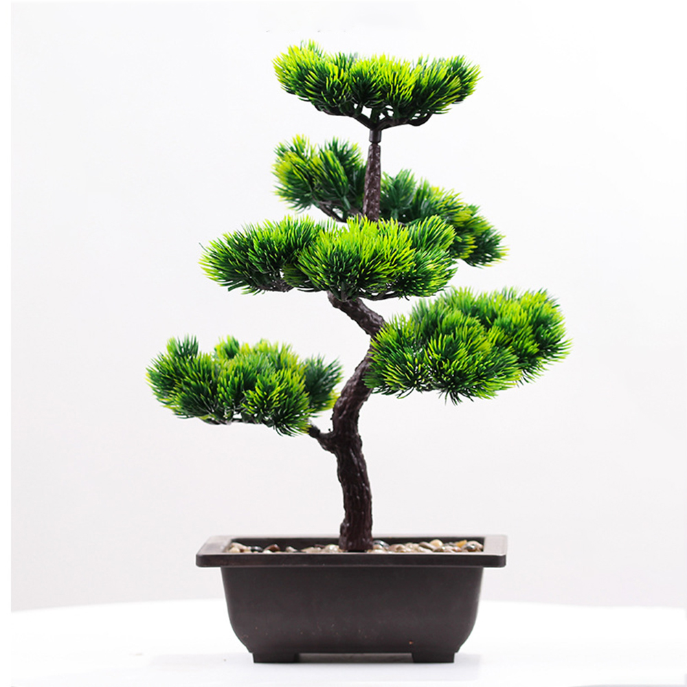 Artificial Plants Beauty Pine  - Bonsai Garden Kit review and price