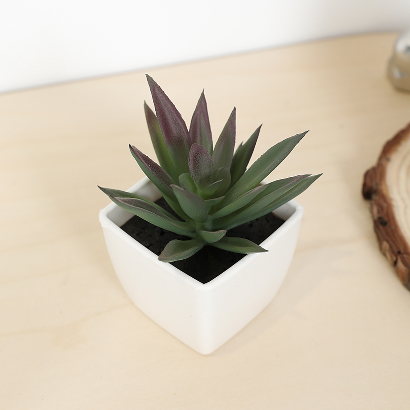 Mini Artificial Succulent Fair - Bonsai Garden Kit review and price