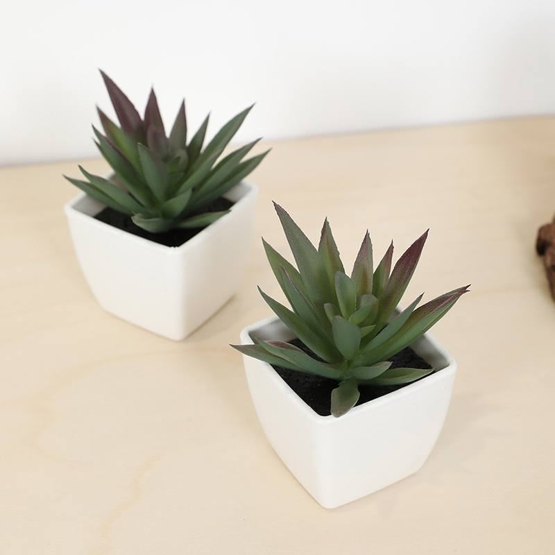 Mini Artificial Succulent Fair - Bonsai Garden Kit review and price