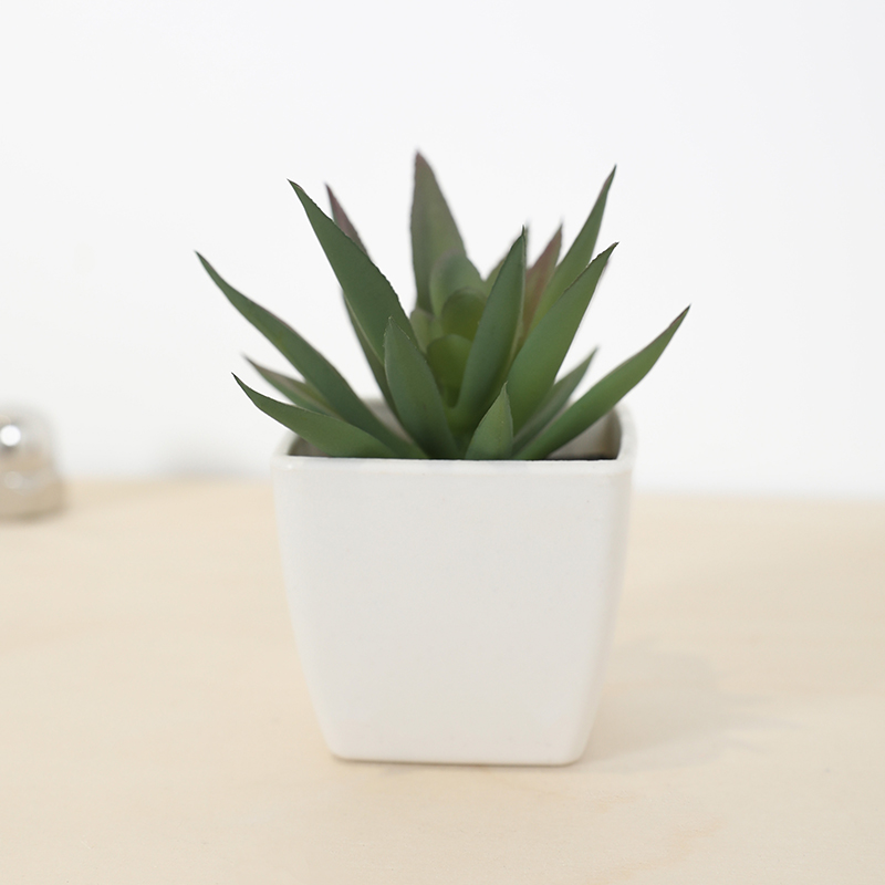 Mini Artificial Succulent Fair - Bonsai Garden Kit review and price