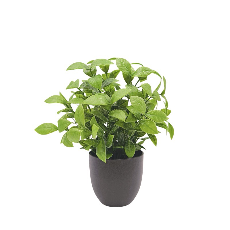Simulation Green Plant Bonsai  - Bonsai Garden Kit review and price