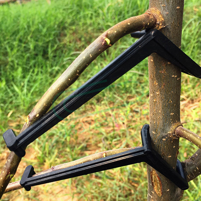 10-30Pcs Fruit Tree Clips Plan - Bonsai Garden Tools review and price