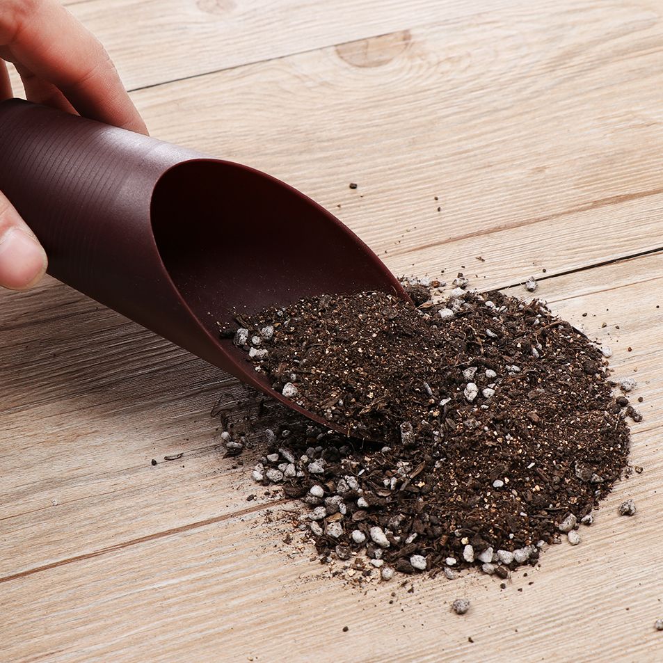 1PC Plastic Soil Shovel Cup Fo - Bonsai Garden Tools review and price